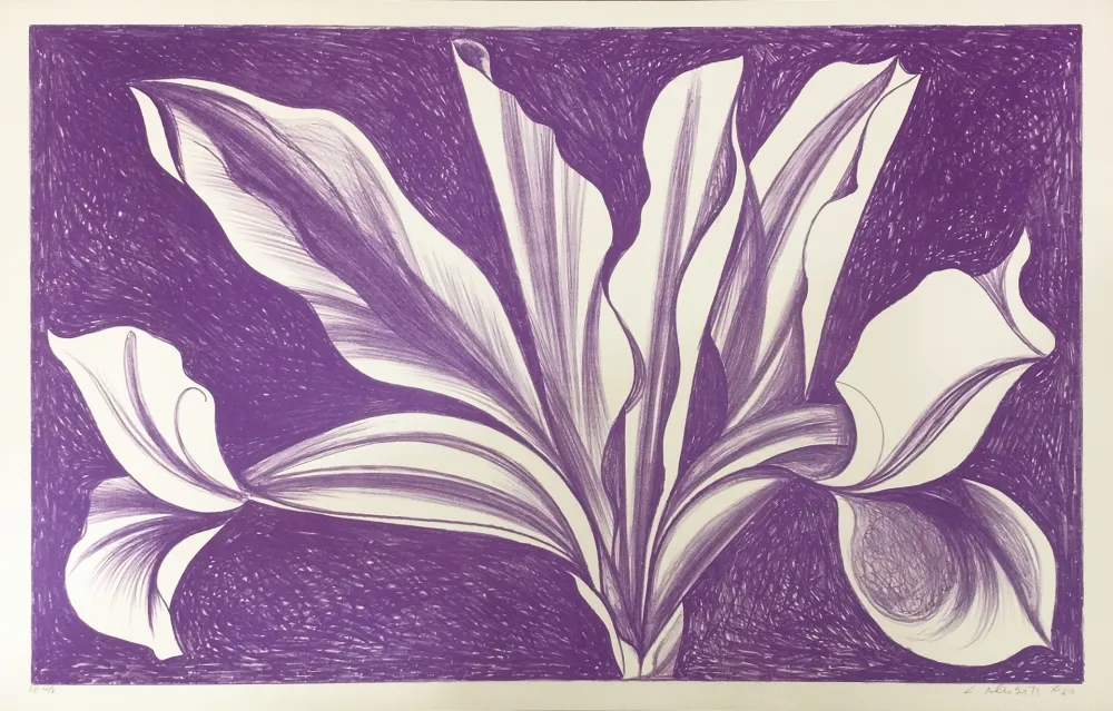 Relieve Nesbitt - IRIS