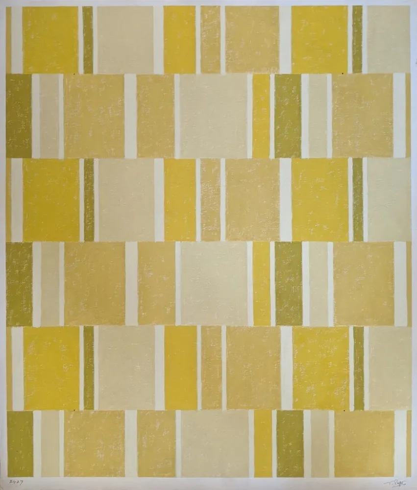 Sin Técnico Pape - Untitled