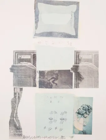 Offset Rauschenberg - Two Reasons Birds Sing, from Suite of Nine Prints