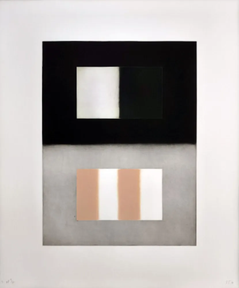 Aguafuerte Y Aguatinta Scully - Liliane 2