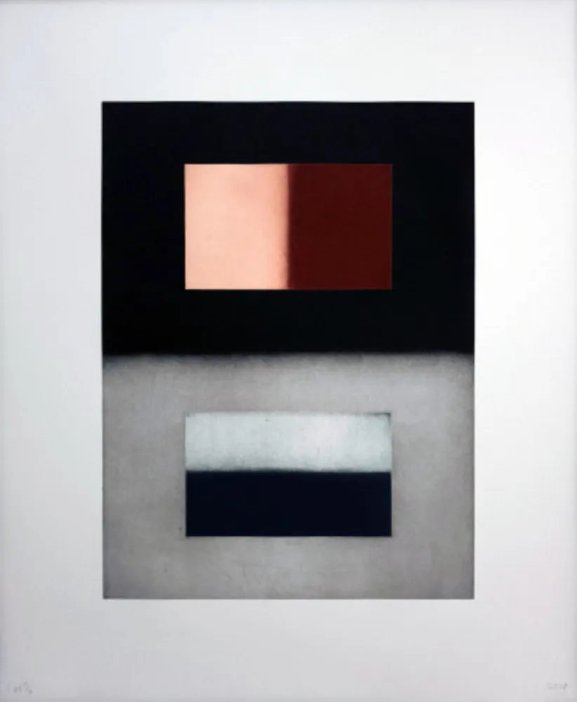 Aguafuerte Y Aguatinta Scully - Liliane 5