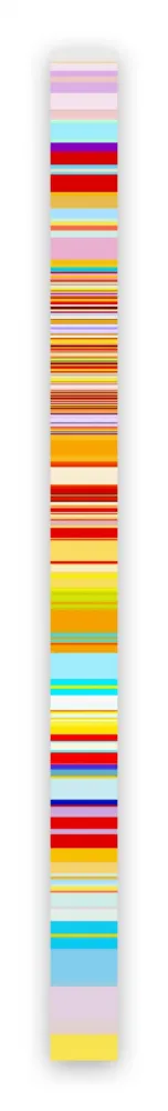 Fotografía Snell - Lumina # 201603