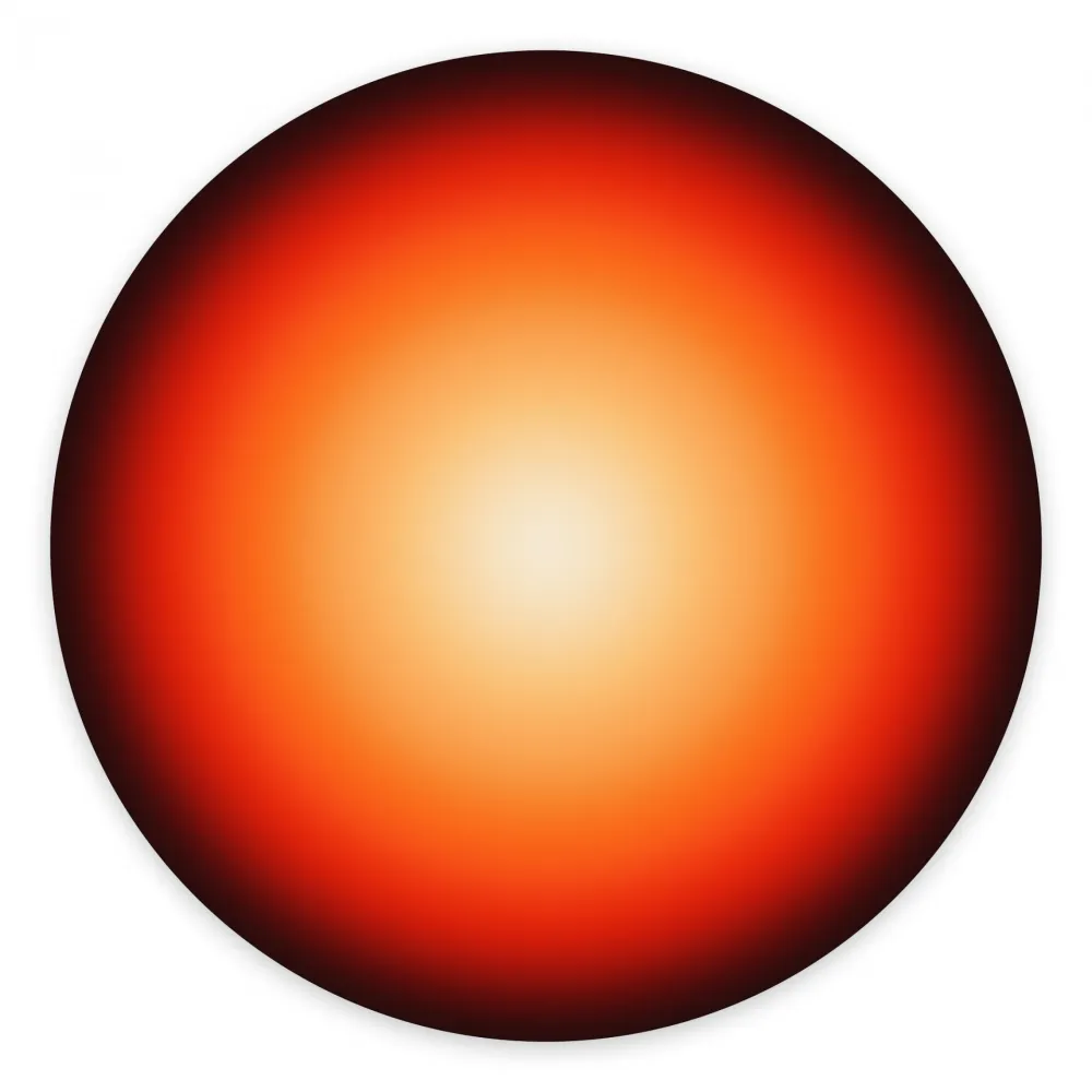 Fotografía Snell - Orb # 202003