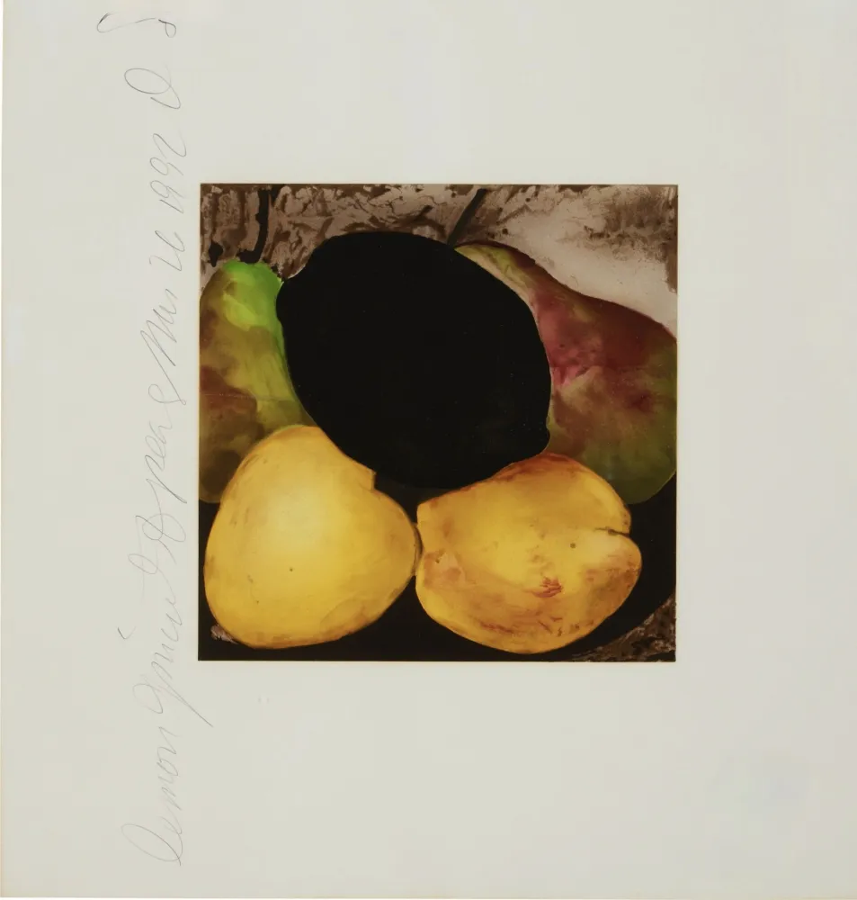 Serigrafía Sultan - Lemon Juice and Pears from Fruits and Flowers