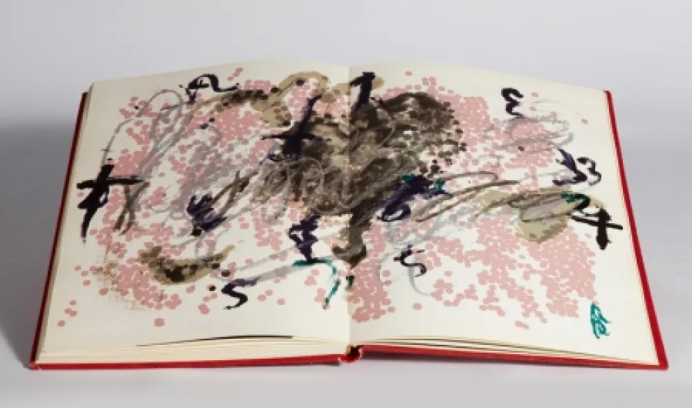 Libro Ilustrado Tàpies - Fregolí 