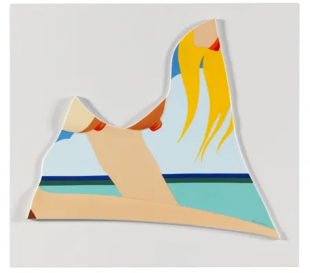 Múltiple Wesselmann - Seascape