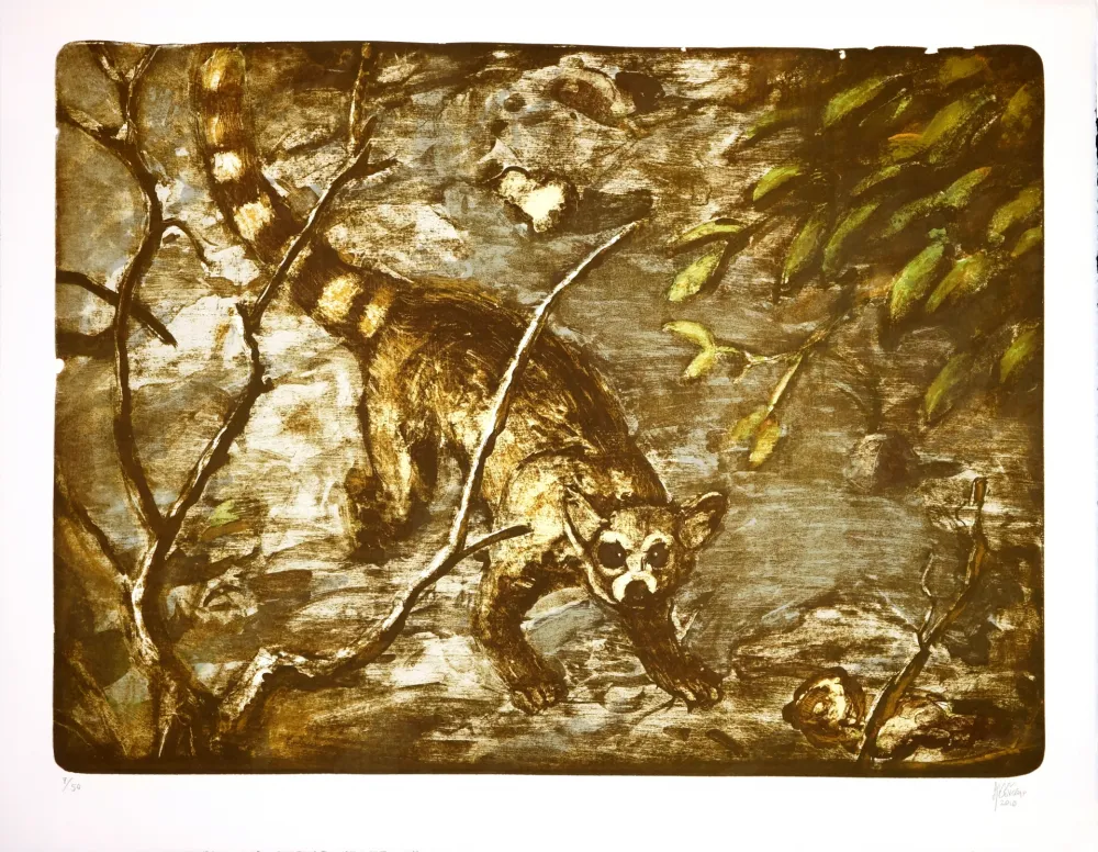 Litografía Aceves Humana - Cacomitle