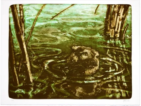 Litografía Aceves Humana - Sans titre