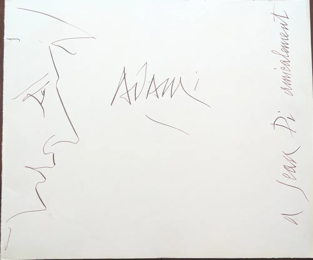 Sin Técnico Adami - Profile