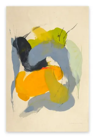 Sin Técnico Adams - Guna WW