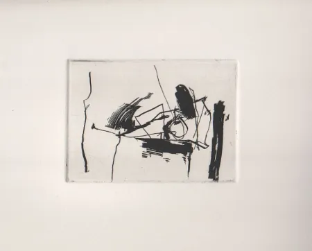 Aguafuerte Afro - Nero V