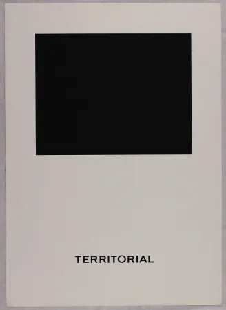 Serigrafía Agnetti - Territorial from 'Spazio perduto e spazio costruito' portfolio, Plate B