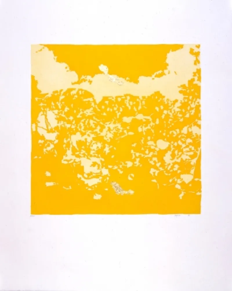 Aguatinta Agosti - Orphée N°II