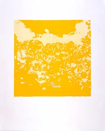 Aguatinta Agosti - Orphée N°II