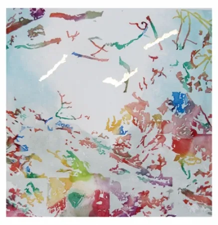 Aguatinta Agosti - Panseur de secret