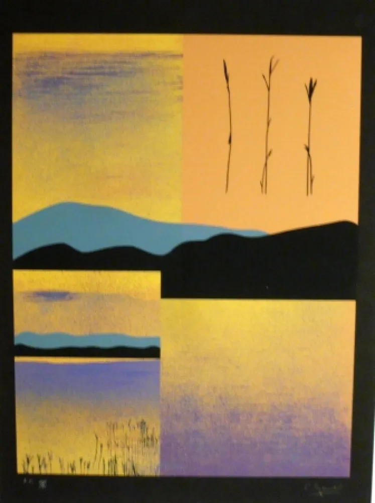 Serigrafía Aguade - Analitica 1