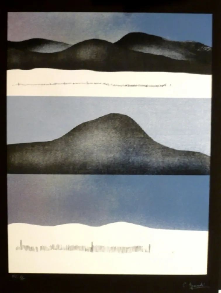 Serigrafía Aguadé - Analitica 10