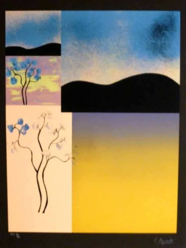 Serigrafía Aguade - Analitica 2