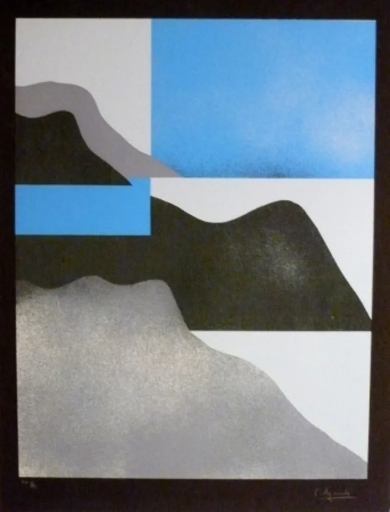 Serigrafía Aguadé - Analitica 3