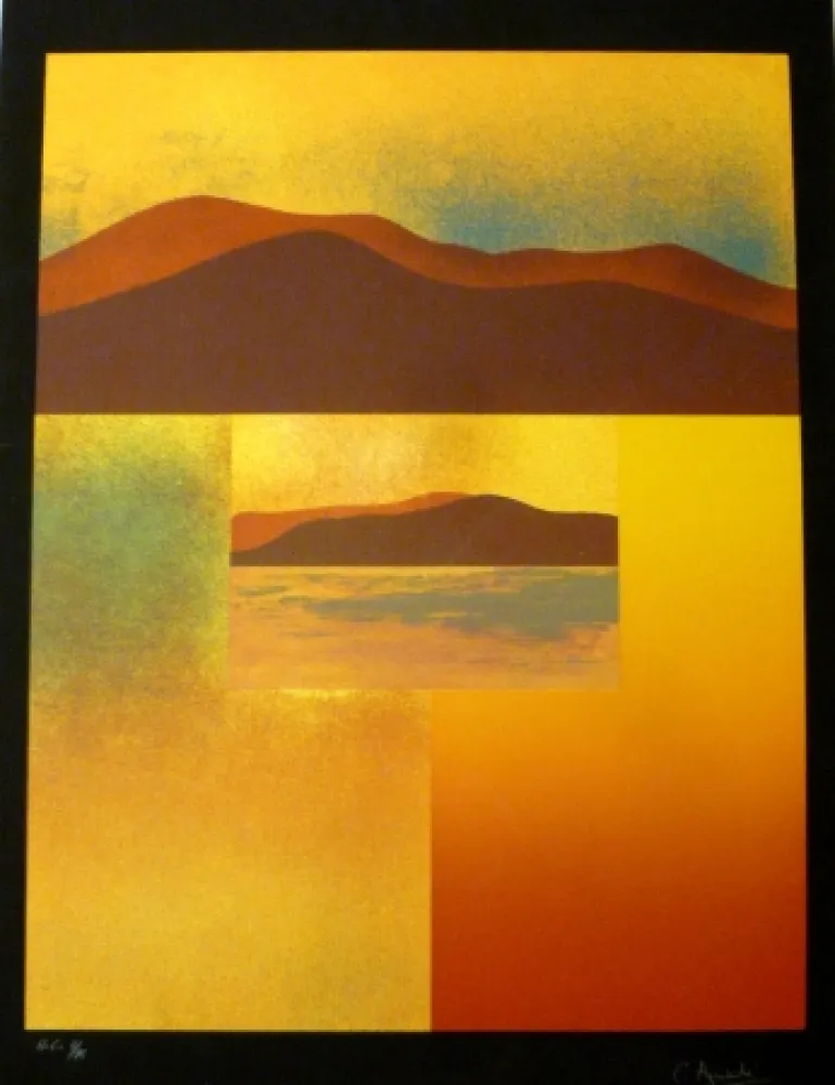 Serigrafía Aguadé - Analitica 4