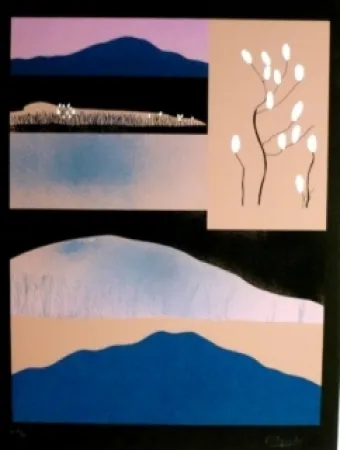 Serigrafía Aguade - Analitica 6