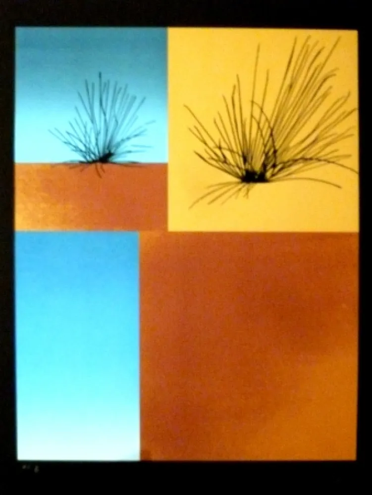 Serigrafía Aguade - Analitica 7