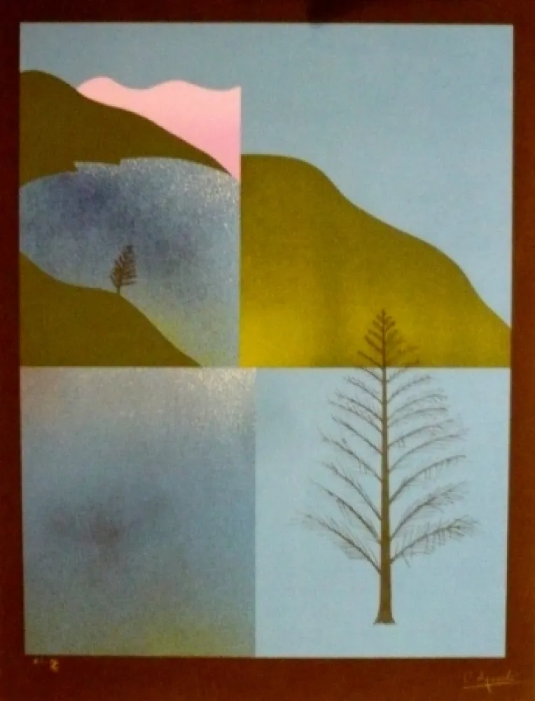 Serigrafía Aguade - Analitica 8