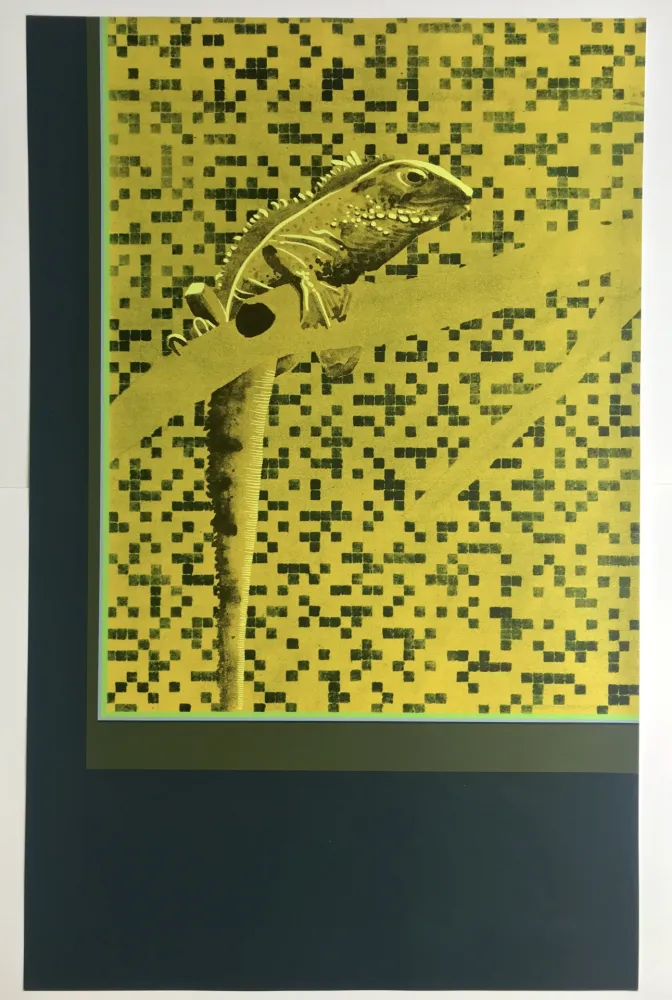 Serigrafía Aillaud - Iguane