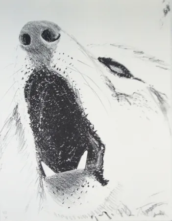 Libro Ilustrado Aillaud - L'Encyclopédie de tous les animaux - Tome III