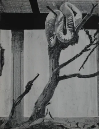 Litografía Aillaud - Serpent