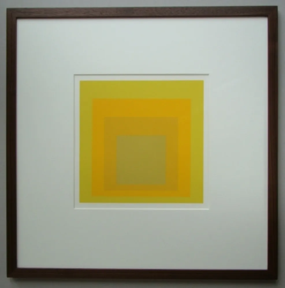 Sin Técnico Albers - Homage to the Square