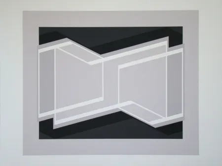 Serigrafía Albers - Kinetic
