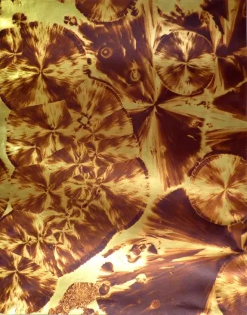 Fotografía Albin Guillot - Micrographie décorative