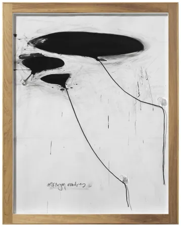 Sin Técnico Alcaraz - Sin titulo