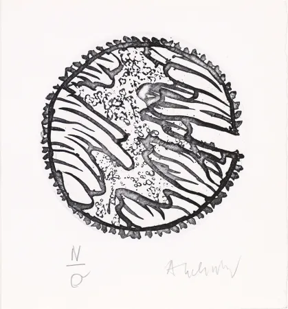 Aguafuerte Y Aguatinta Alechinsky - Chronique de la neige