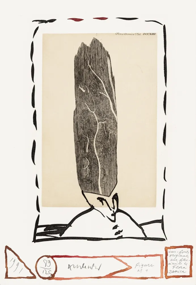 Aguafuerte Alechinsky - Flore danoise 01 - Le magister