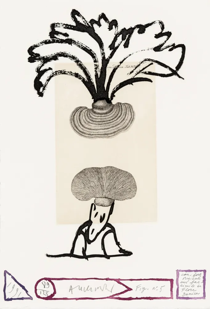 Aguafuerte Alechinsky - Flore danoise 05 - Panaches