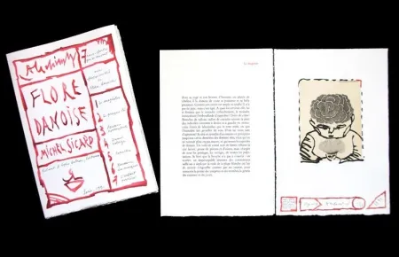 Libro Ilustrado Alechinsky - FLORE DANOISE