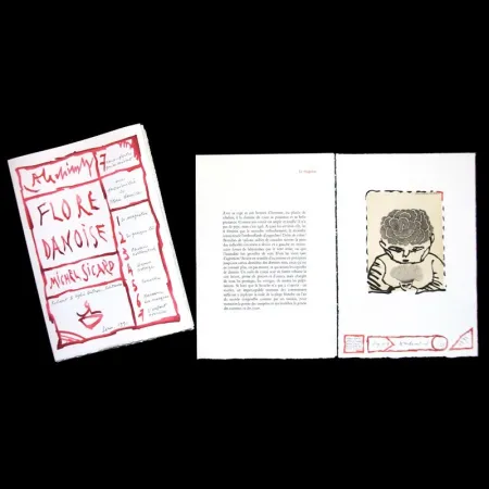 Libro Ilustrado Alechinsky - Flore danoise