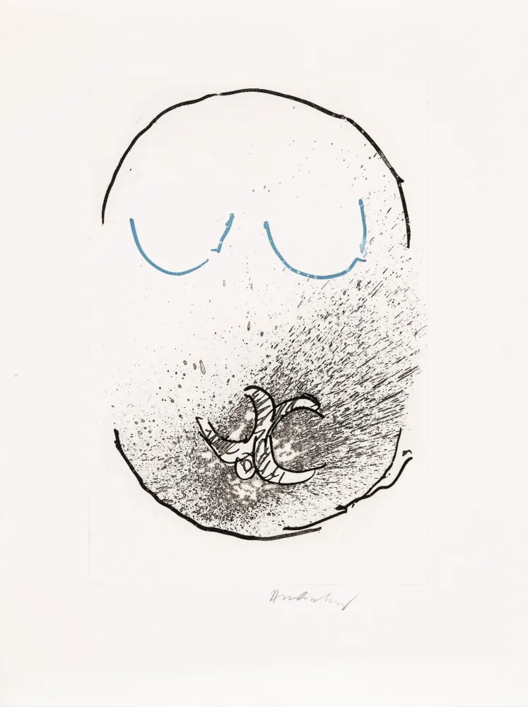 Aguafuerte Y Aguatinta Alechinsky - Pointes Planche IX bis