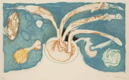 Aguafuerte Y Aguatinta Alechinsky - Volcan de nuit