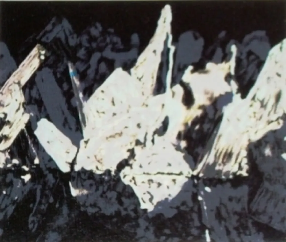 Litografía Alexander - Sans titre