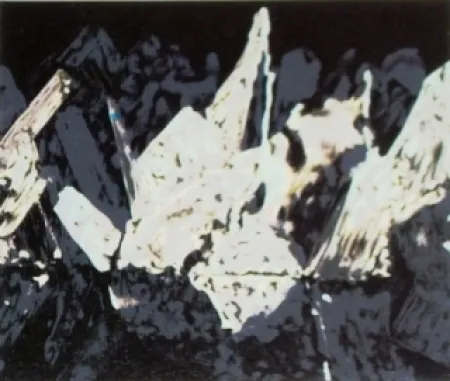 Litografía Alexander - Sans titre