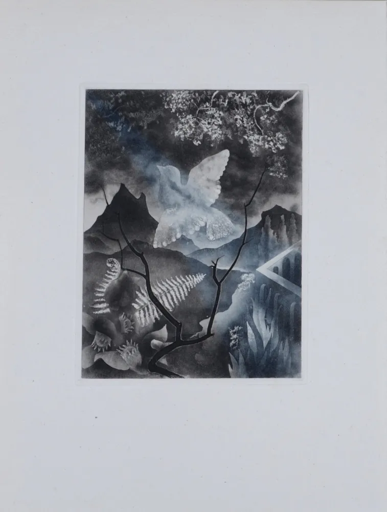 Grabado Alexeïeff - The Dove