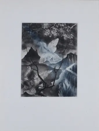 Grabado Alexeïeff - The Dove