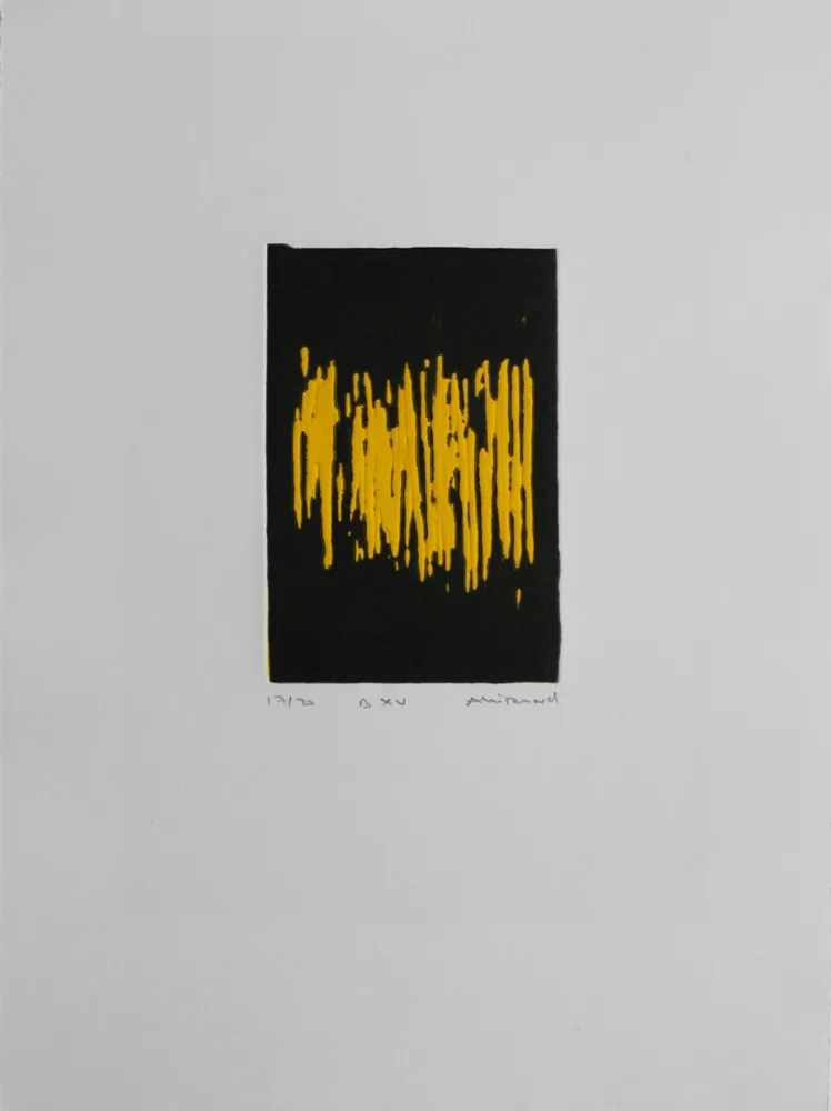 Aguatinta Allirand - B XV