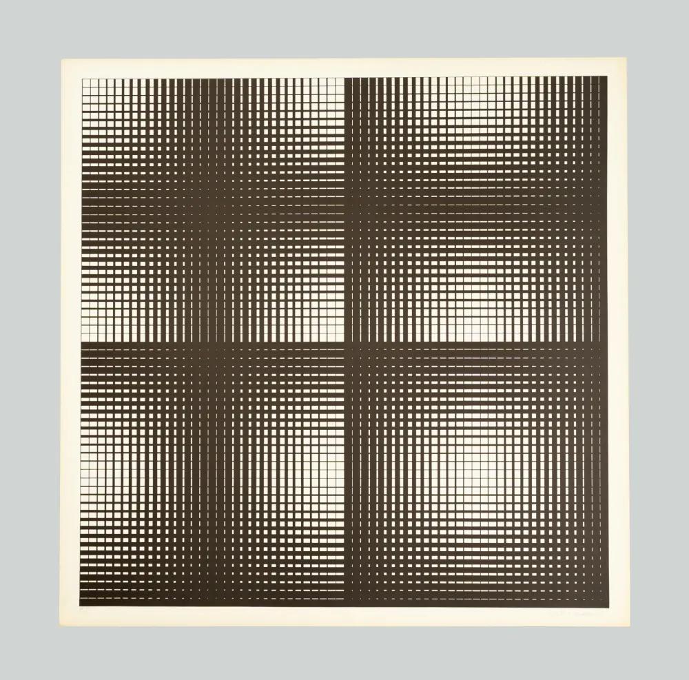 Serigrafía Alviani - Programmazione grafica