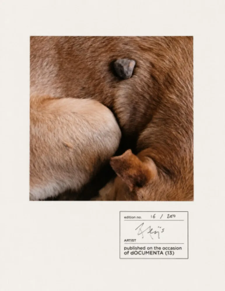 Fotografía Alÿs - Untitled (documenta 13)