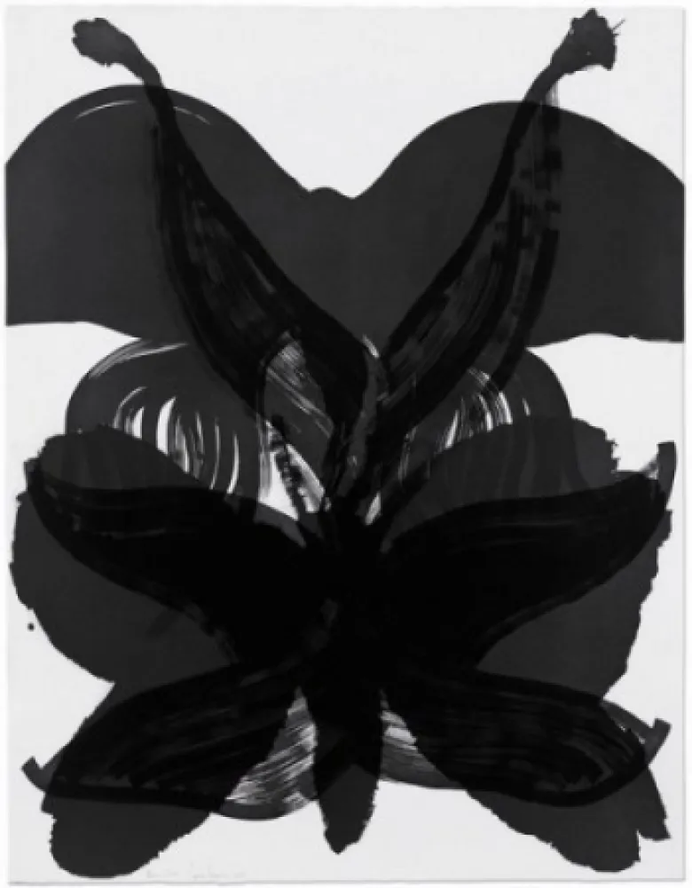 Aguafuerte Amorales - Mod. 2