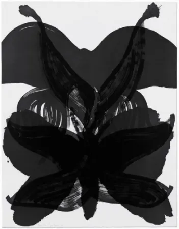 Aguafuerte Amorales - Mod. 2